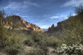 Картинка природа пейзажи простор