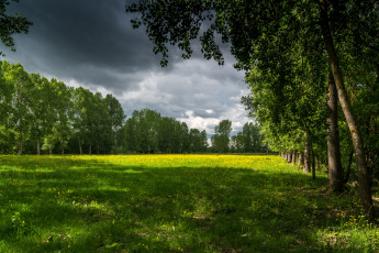 Картинка природа пейзажи простор