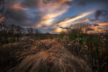 Картинка природа пейзажи простор