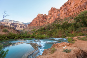 Картинка природа реки озера лес река