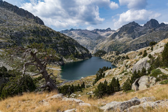 Картинка природа реки озера река лес