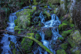 Картинка природа водопады лес река водопад