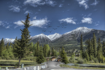 Картинка природа пейзажи простор