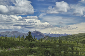 Картинка природа пейзажи простор