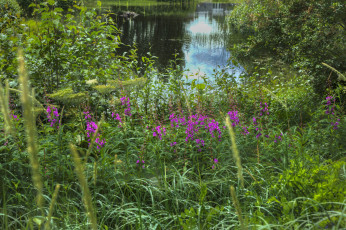 Картинка природа реки озера простор