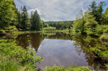 Картинка природа реки озера река лес