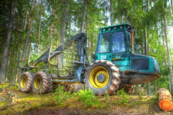 Картинка техника лесоповалочная+техника лесозаготовка