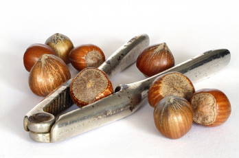 Картинка еда орехи +каштаны +какао-бобы фундук