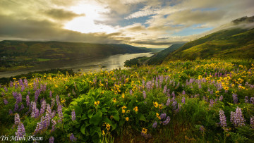 Картинка природа реки озера простор