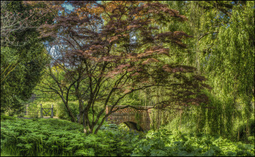 Картинка природа реки озера лес река