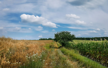 Картинка природа дороги простор