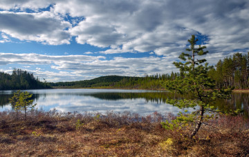 Картинка природа реки озера река лес