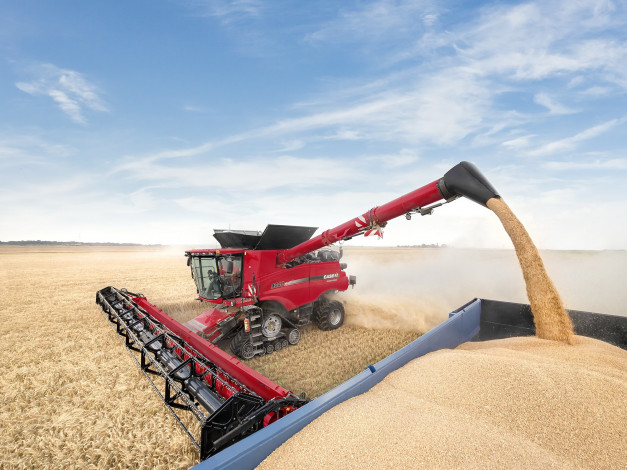 Обои картинки фото техника, комбайны, case