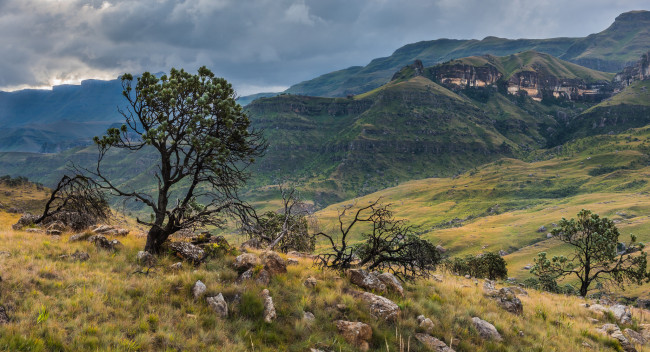 Обои картинки фото природа, пейзажи, простор