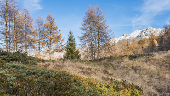 Обои картинки фото природа, пейзажи, простор