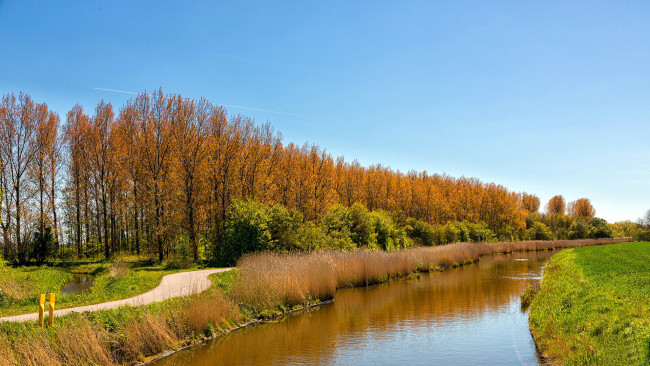 Обои картинки фото природа, реки, озера, весна, дорога, река, деревья