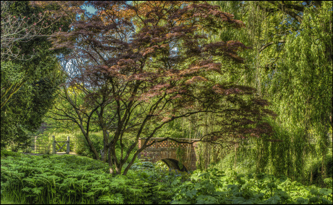 Обои картинки фото природа, реки, озера, лес, река