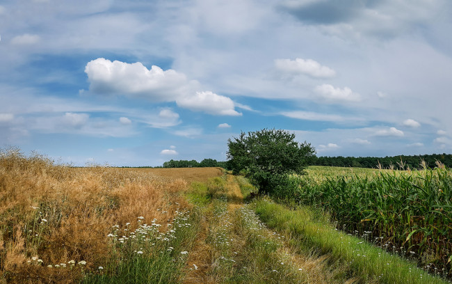 Обои картинки фото природа, дороги, простор