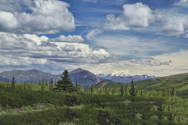 Обои картинки фото природа, пейзажи, простор