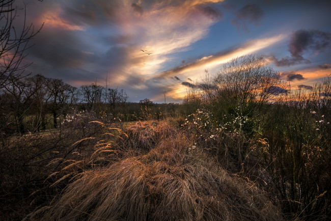 Обои картинки фото природа, пейзажи, простор