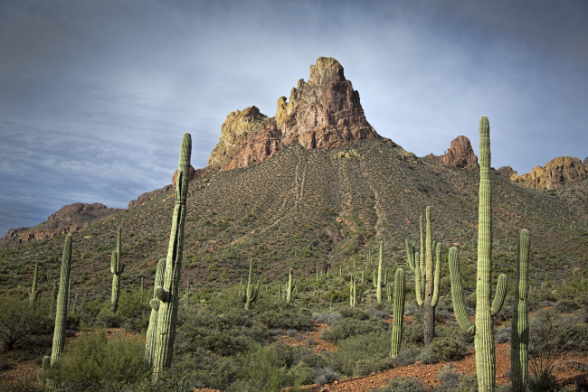 Обои картинки фото природа, пустыни, простор