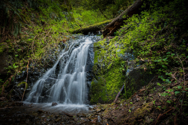 Обои картинки фото природа, водопады, лес, река, водопад