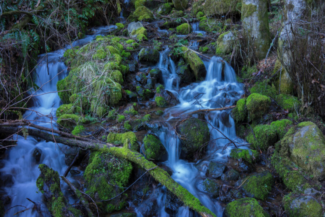 Обои картинки фото природа, водопады, лес, река, водопад