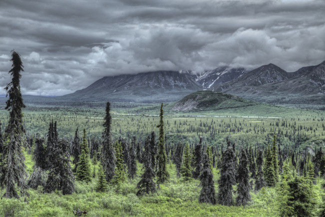 Обои картинки фото природа, пейзажи, простор