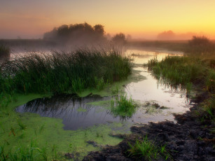 Картинка природа реки озера простор