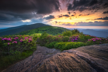 Картинка природа пейзажи простор