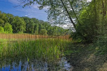 Картинка природа реки озера простор