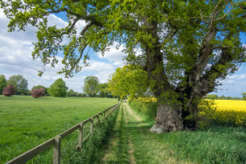 Картинка природа дороги простор