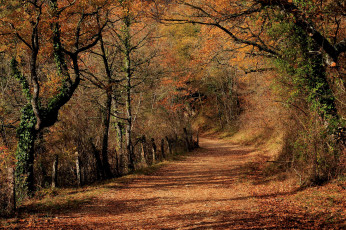 Картинка природа дороги простор