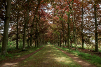 Картинка природа дороги простор