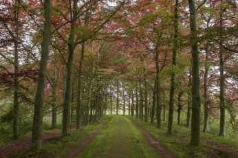 Картинка природа дороги простор