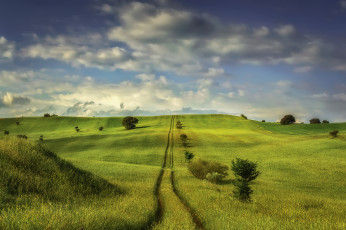 Картинка природа поля простор