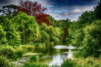 Картинка природа реки озера простор