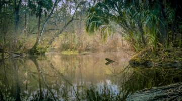 Картинка природа реки озера простор