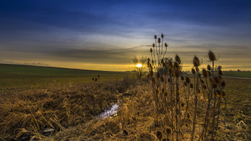 Картинка природа пейзажи простор