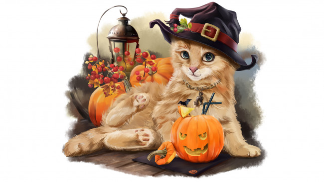 Обои картинки фото праздничные, хэллоуин, взгляд, тыква, фон, кот