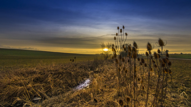 Обои картинки фото природа, пейзажи, простор