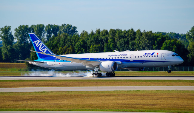 Обои картинки фото авиация, пассажирские самолёты, авиалайнер