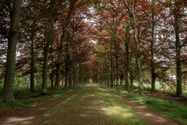 Обои картинки фото природа, дороги, простор