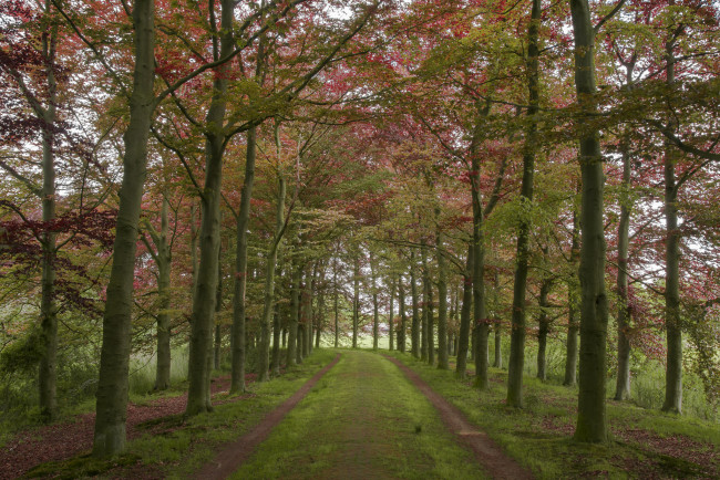 Обои картинки фото природа, дороги, простор