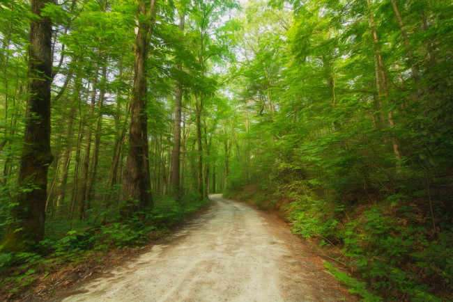 Обои картинки фото природа, дороги, простор