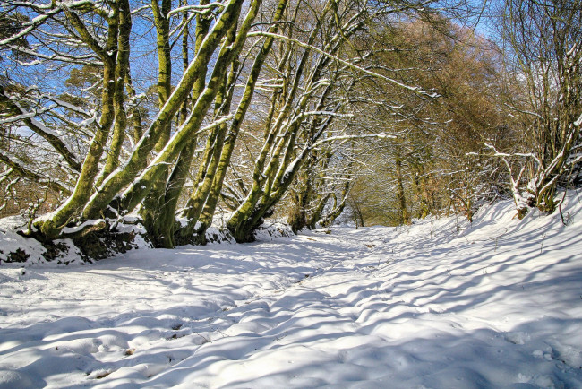 Обои картинки фото природа, зима, простор