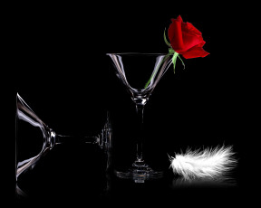 Картинка цветы розы бокалы роза перо