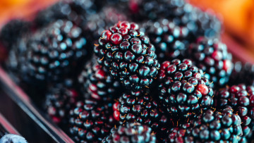 обоя еда, ежевика, ягоды, макро