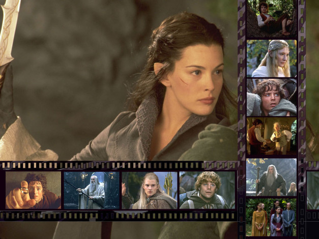 Обои картинки фото кино, фильмы, the, lord, of, rings, fellowship, ring