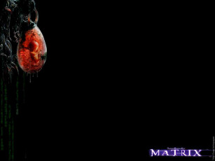 Картинка кино фильмы the matrix reloaded